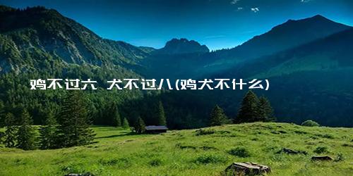 鸡不过六 犬不过八(鸡犬不什么)